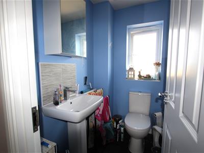 Picture 10